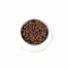 PUPIL PREMIUM Adult Medium & Large Wołowina 12 kg-10061