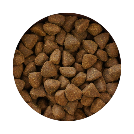 EUPHORIA Fresh Hypoallergenic Wieprzowina 2,5 kg – karma dla dorosłych psów-10137