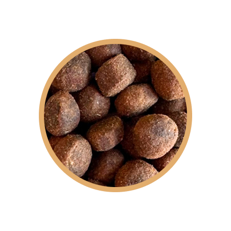 BIOFEED Kuchnia Polska – Karma półwilgotna ze świeżą kaczką dla psów dorosłych 4 kg-10284