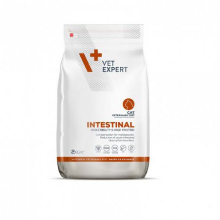 4T Veterinary Diet Cat Intestinal 2 kg