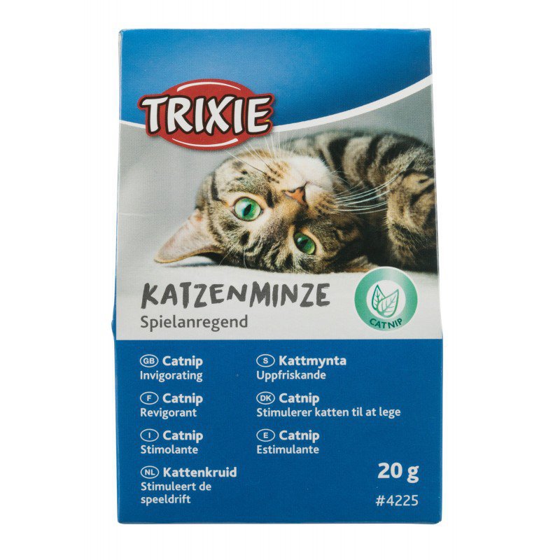KOCIMIĘTKA 20G