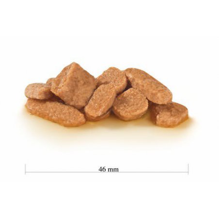 Royal Canin VCN Cat Neutered and Maintenance 85 g-2313