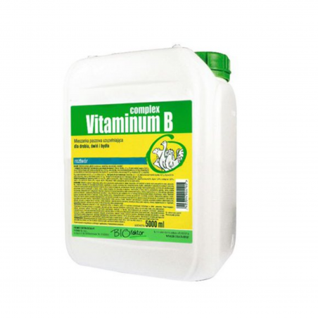 Vitaminum B Complex 5 l