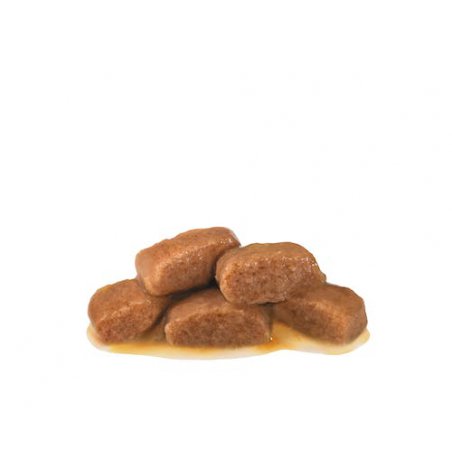 Royal Canin Cat Gastro Intestinal 85g-2300