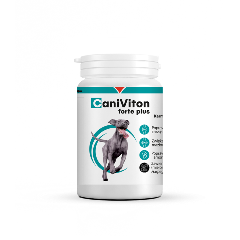 Caniviton Forte Plus 90 tabl.