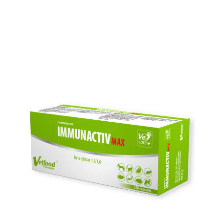 Immunactiv Max 120 kaps.