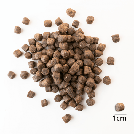 Baltica Puppy Salmon Hypoallergenic dla szczeniąt ras średnich i dużych 1 kg-2932
