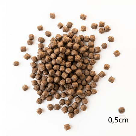 Baltica Puppy Duck With Salmon karma dla psów małych ras 1 kg-2939