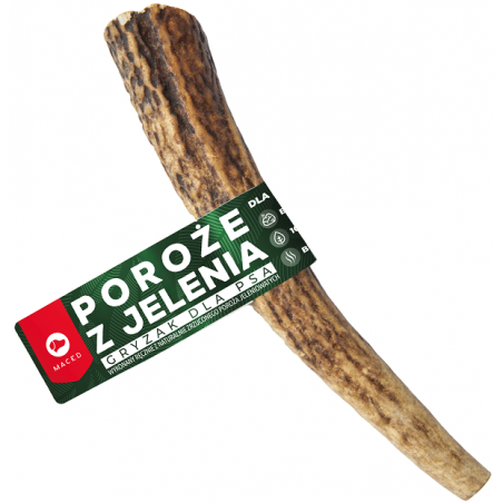 MACED 100% NATURA POROŻE JELENIA ROZ. L