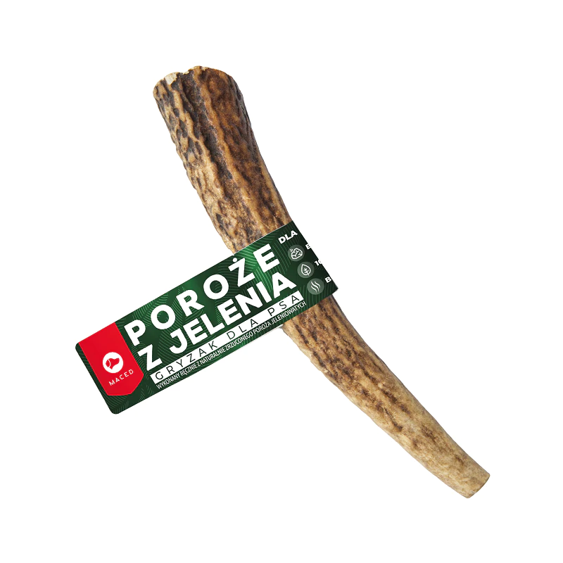 MACED 100% NATURA POROŻE JELENIA ROZ. L