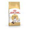 ROYAL CANIN Ragdoll Adult 85g