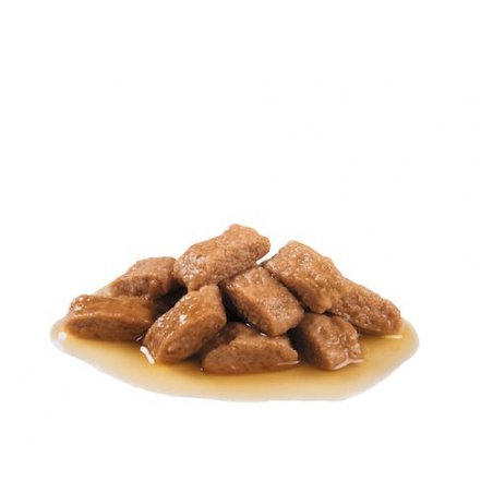 Royal Canin Medium Adult kawałki w sosie 140g-3653