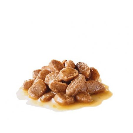 Royal Canin Mini Adult kawałki w sosie 85g-3667