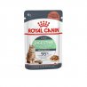 Royal Canin Digestive Care kawałki w sosie 85g