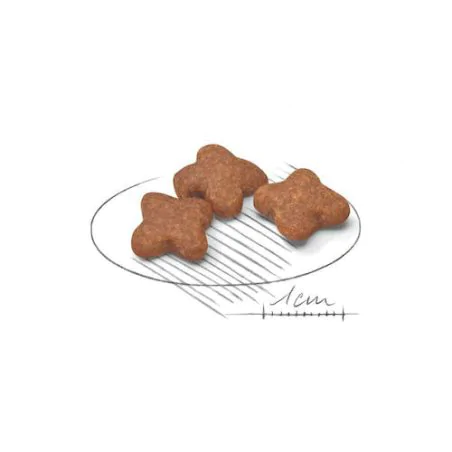 Royal Canin Mini Adult 8+ 2kg-3718