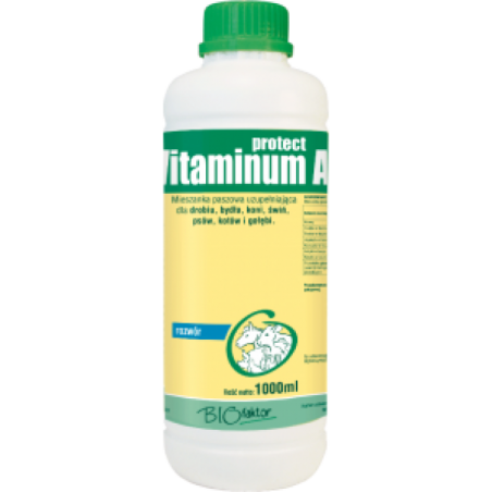 Vitaminum A Protect 1 l