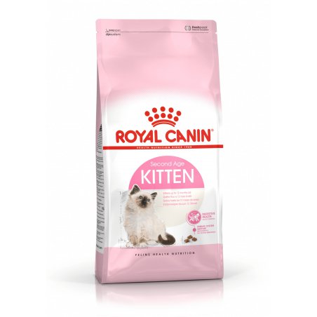 Royal Canin Cat FHN Kitten karma dla kociąt 4kg