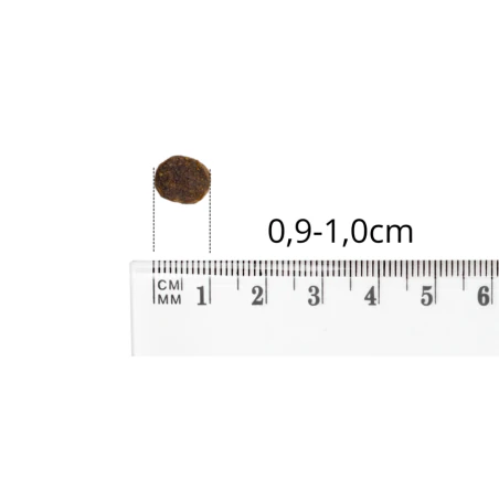 BALTICA HYPOALLERGENIC KARMA NISKOTŁUSZCZOWA FISH & RICE XS/S 1 KG-4531