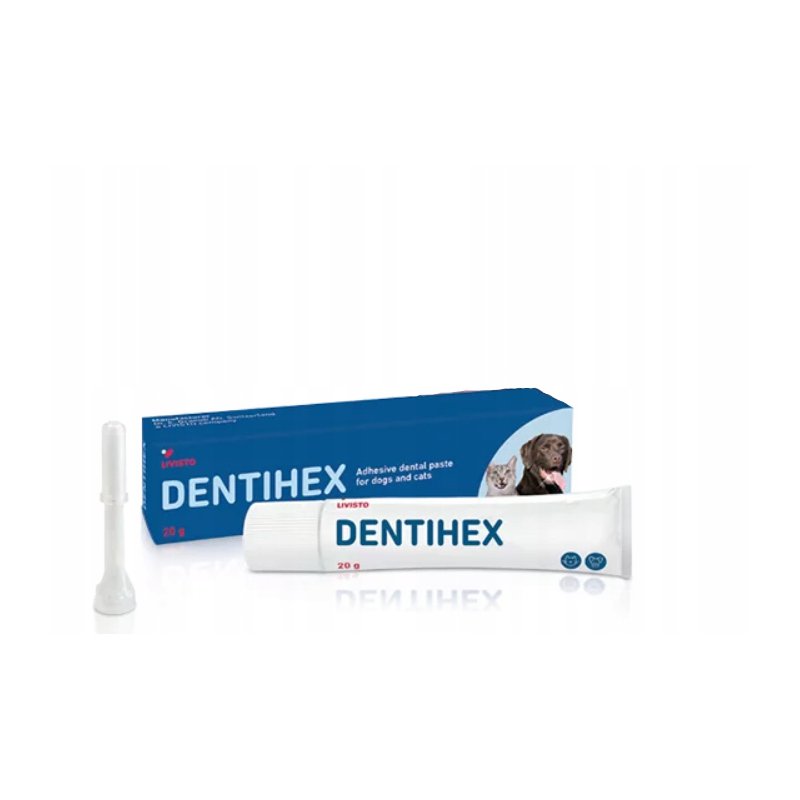 Dentisept 20 g Livisto
