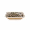 Trawa dla kota w pojemniku 100 g-4433