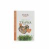Trawa dla kota w pojemniku 100 g-4433