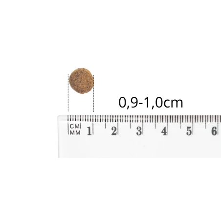 BALTICA HYPOALLERGENIC ADULT FISH & RICE LIGHT XS/S 6 KG KARMA NISKOTŁUSZCZOWA DLA OTYŁYCH PSÓW MAŁYCH RAS-4502