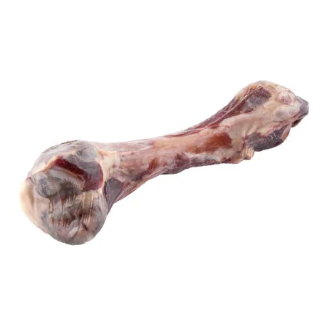 MACED KOŚĆ Z SZYNKI WŁOSKIEJ 1 SZT-4522