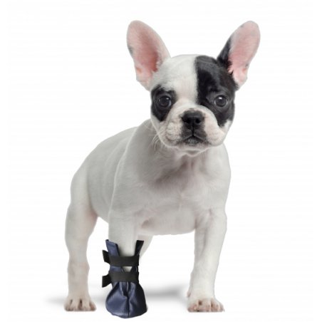 BUT OCHRONNY Z DERMY ROZMIAR XS GRANDE FINALE