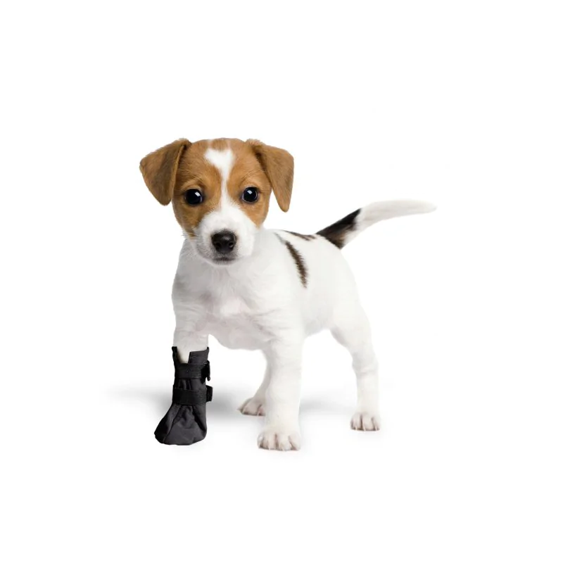 BUT OCHRONNY SOFTSHELL CZARNY ROZMIAR S GRANDE FINALE