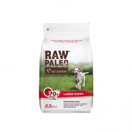 4T RAW PALEO DOG PUPPY LARGE BEEF 2,5 KG