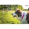 Amiplay Samba Obroża półzaciskowa M 25 – 40 x 2 cm różowa dla psa-4802