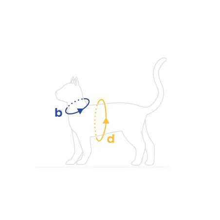 Amiplay Samba Szelki i smycz dla kota rozmiar S żółte-4897