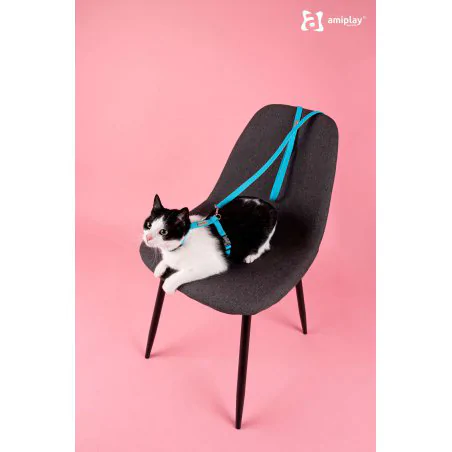 Amiplay Samba Szelki i smycz dla kota rozmiar S czarne-4921