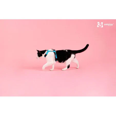 Amiplay Samba Szelki i smycz dla kota rozmiar S czarne-4921