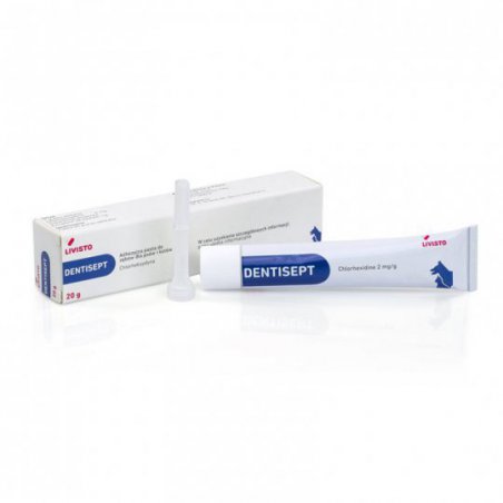 Dentisept 20 g Livisto-4034