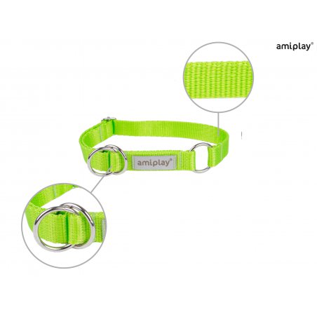 Amiplay Samba Obroża półzaciskowa XL 40-60 cm x 2,5 cm zielona dla psa-4953