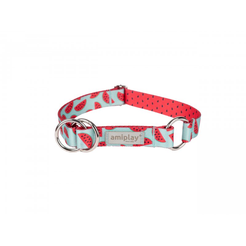 Amiplay Samba Obroża półzaciskowa M 25 – 40 x 2 cm wzór w arbuzy dla psa