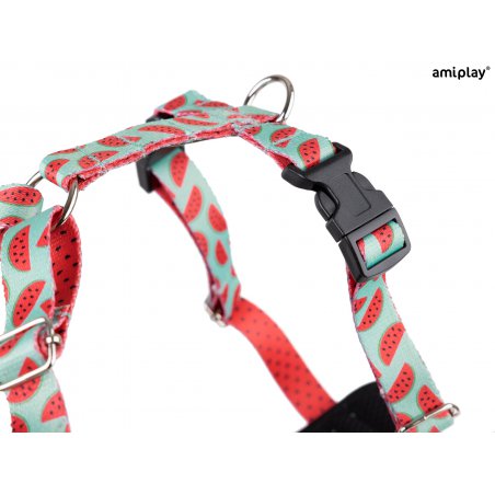 Amiplay Discovery szelki regulowane dla psa rozmiar M w arbuzy-4999