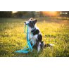 Amiplay Guard Samba szelki regulowane XL turkusowe-5048