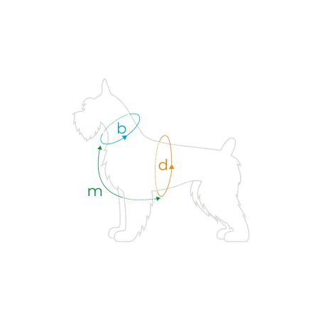 Amiplay Guard Samba szelki regulowane M zielone-5065