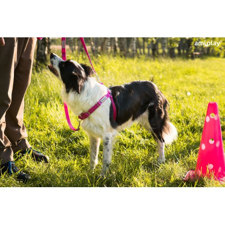 Amiplay Guard Samba szelki regulowane M różowe-5108