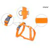 Amiplay Guard Samba szelki regulowane M pomarańczowy-5143
