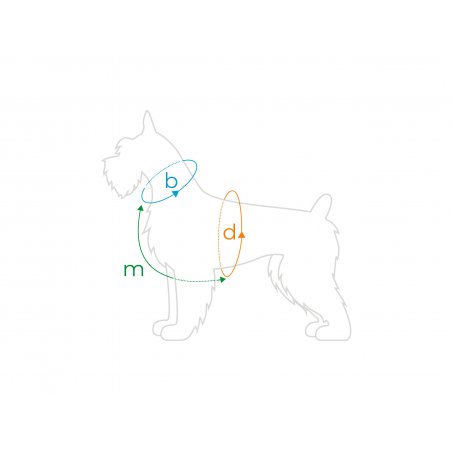 Amiplay Guard Samba szelki regulowane M czarne-5233
