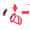 Amiplay Guard Samba szelki regulowane M czerwone-5239