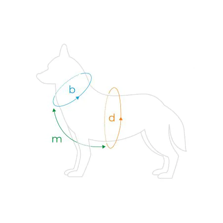 Amiplay Guard Samba szelki regulowane L czerwone-5253