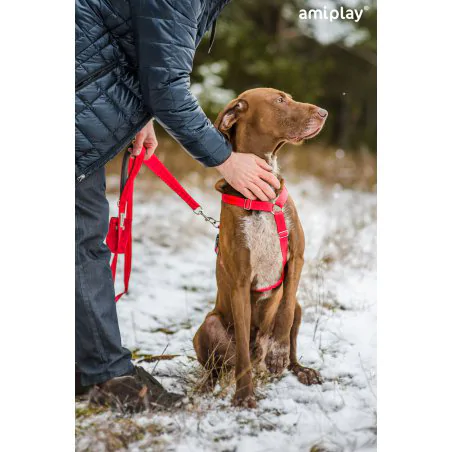 Amiplay Guard Samba szelki regulowane L czerwone-5253