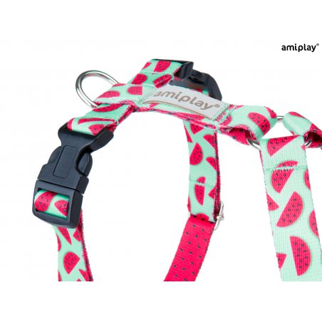 Amiplay Guard BeHappy szelki regulowane S w arbuzy-5271