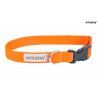 Amiplay Samba Obroża regulowana S 20-35 x 1,5 cm pomarańczowa-5654