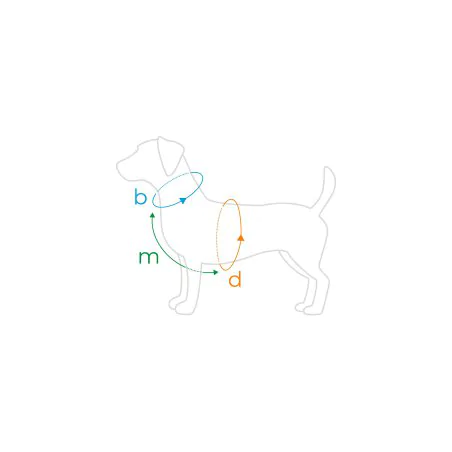 Amiplay Guard Amik szelki regulowane S pizza-5827