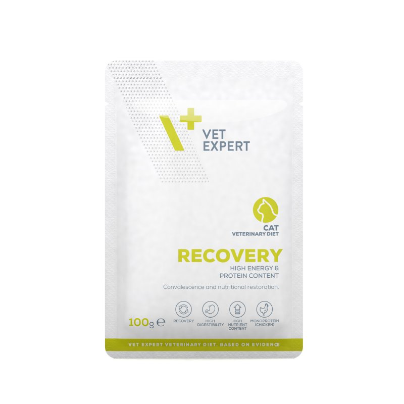 VETEXPERT RECOVERY CAT 100 g